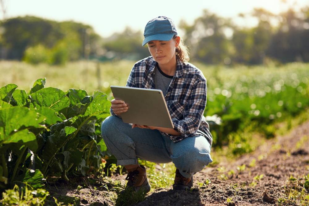 Agribusiness Technology