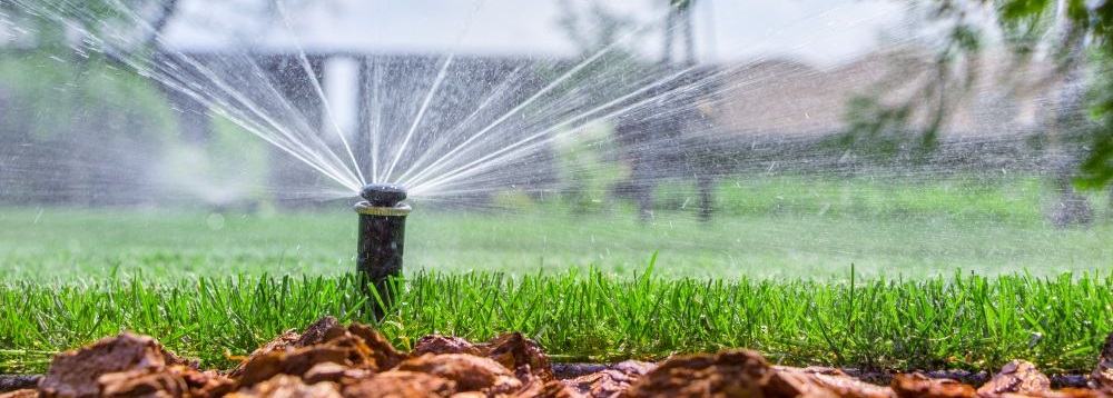 irrigation system irrigate lawn time