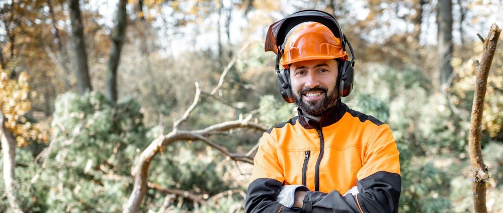 professional arboriculturalist in the forest